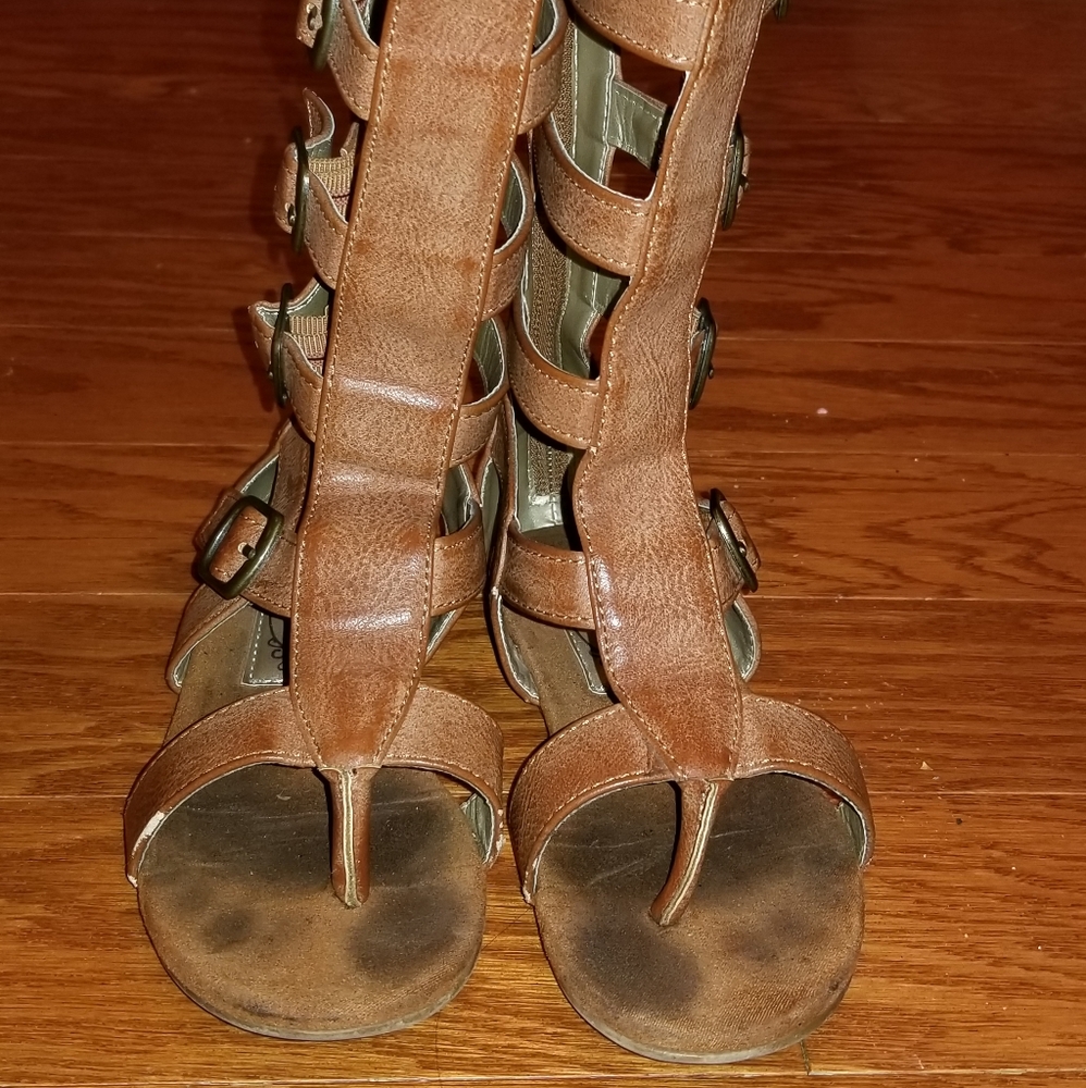 Joyfolie gladiators